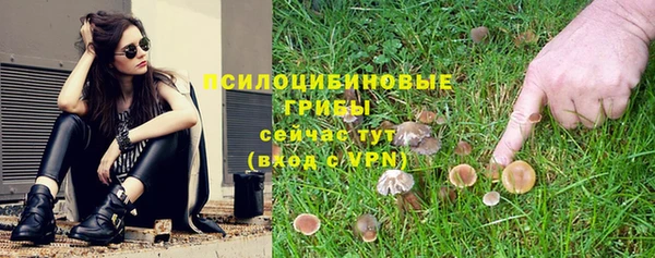 a pvp Аркадак