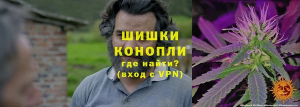 мет Арсеньев