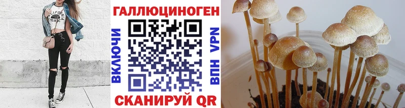 Галлюциногенные грибы мухоморы  сайты даркнета формула  Терек 